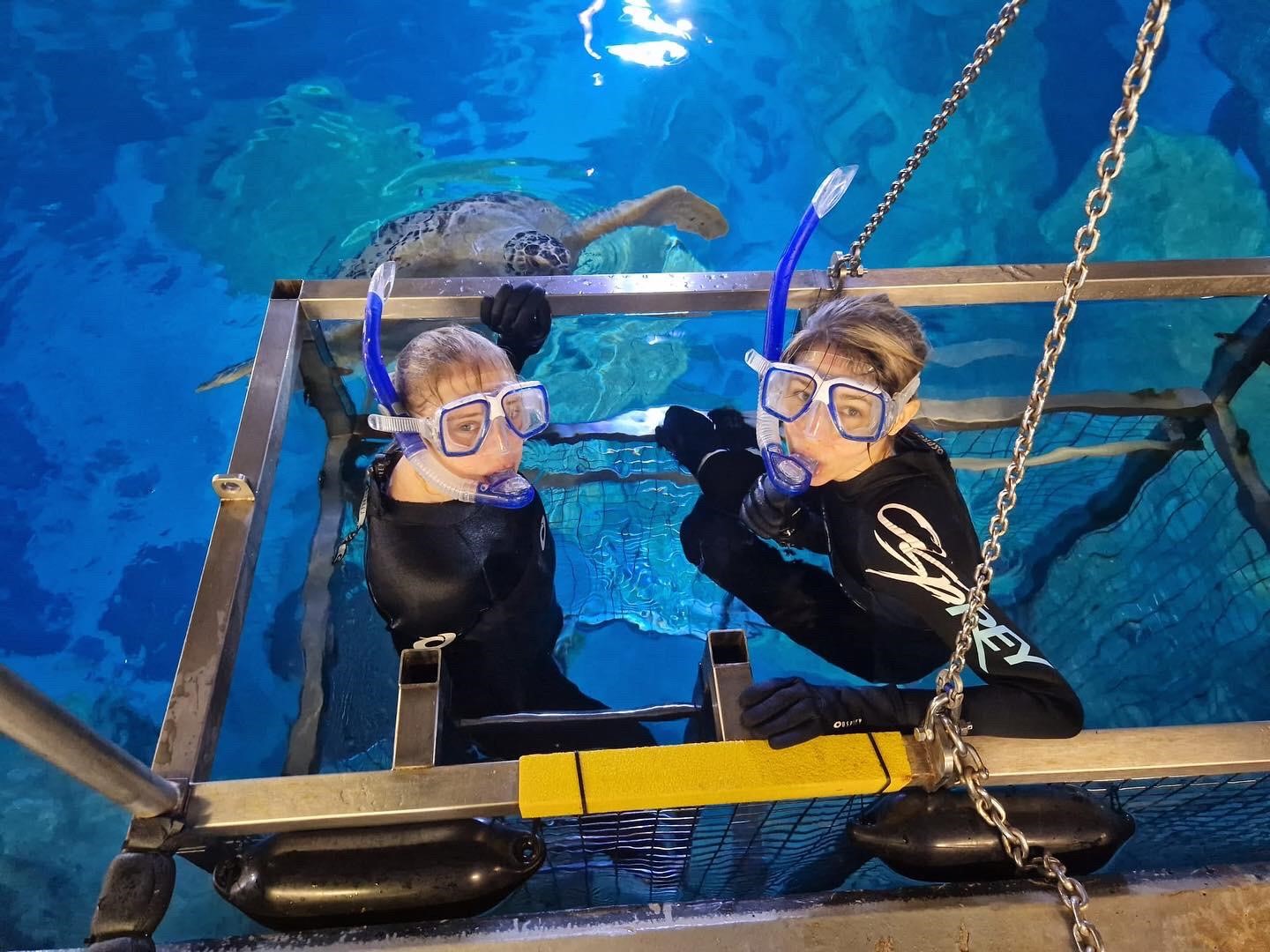 Erin and Zoe take on a shark dive for charity